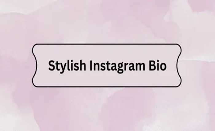 instagram bio